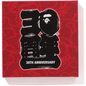 BAPE 30TH ANNIV. CANVAS MEDIUM