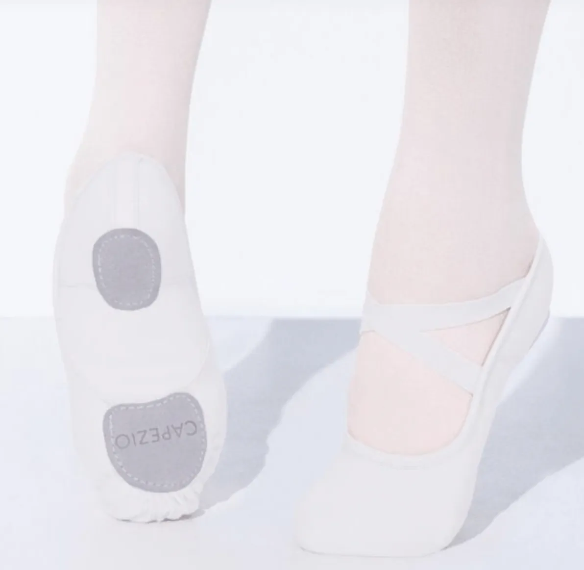 Capezio Hanami Canvas Ballet Shoe