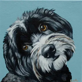 Corbello - Canvas Print on Wood - Havanese - 6 x 6