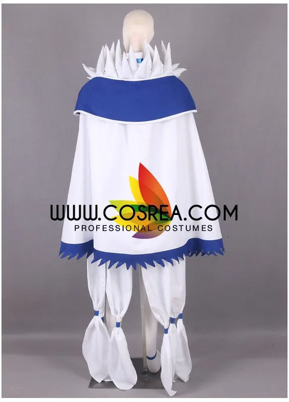 Fairy Tail Yukino Agria Cosplay Costume